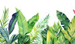 PNG Tropical leaves backgrounds outdoors tropics