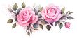 PNG Garland rose flower plant inflorescence