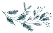 PNG Coniferous branch flat illustration art illustrated graphics