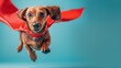 A brave Dachshund in a red superhero cape soaring skyward against a turquoise backdrop, depicting courage and adventure.