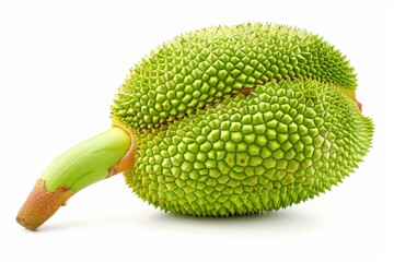 Wall Mural - Isolated young green jackfruit from Asia for cooking and dessert on a white background