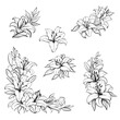 Set of lily flowers, bouquet ornaments, frames, corner frame, line art, monochrome