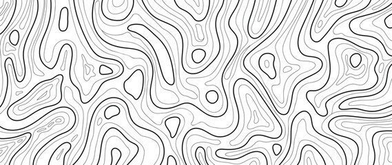 Wall Mural - abstract topographic map background vector. line art design texture for wall decoration, packaging ,