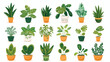 Potted home plants set Abstract leaf houseplant