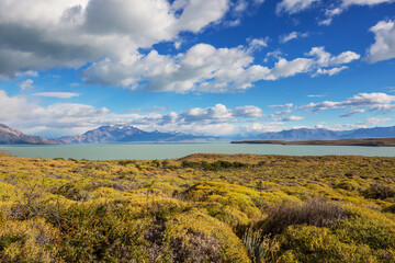 Sticker - Lake in Patagonia