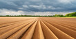 Perfectly even rows of plowed land on an agricultural field prepared for growing potatoes. Agriculture concept