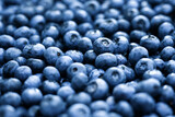 Fototapeta Mapy - Heap of fresh sweet blueberry berries closeup. Food photography