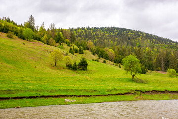 Wall Mural - landscape with river among forested hills in spring on an overcast day. water steam with grassy shore. mountainous countryside scenery in the rural valley of ukraine