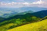 Fototapeta Góry - mountainous rolling landscape in summer. borzhava range of ukrainian carpathian mountains beneath a blue sky with clouds in the distance