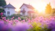 Beautiful flowers in the garden with house in the background at sunset