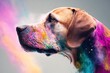 Colorful Close-Up Portrait of a Dog with Rainbow Powder