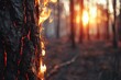 Close-up of a tree bark burning in a forest at dusk, the glowing embers contrasting with the dark surroundings, encapsulating the concept of nature's fragility and the impact of forest fires.