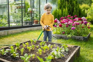 Cute little boy watering flower beds in the garden at summer day. Child using garden hose to water vegetables. Kid helping with everyday chores.