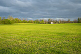 Fototapeta  - landscape featuring a lush green field