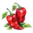 A watercolor illustration of a red chili pepper