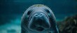 Detailed closeup of a manatee swimming peacefully, showcasing its gentle eyes and smooth skin in the soft underwater light