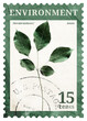 © Rawpixel.com - PNG environment postage stamp, aesthetic green leaves collage element, transparent background