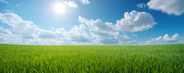 green field and blue sky