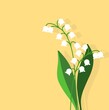 Lily of the valley flower illustration on yellow color