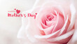 Close-up of a delicate pink rose with ‘Happy Mother’s Day’ text, symbolizing love and appreciation.