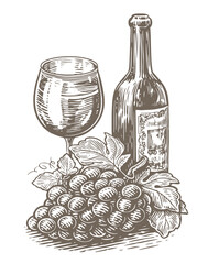 Wall Mural - Wine bottle and glass, cluster of grapes. Winery, vineyard sketch. Vintage vector illustration