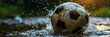 A Soccer Ball with Black Dots and a White Ball,
Ball with splashes of water