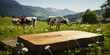 Empty wooden cutting board and blurred background with cows on meadow. Space for design your dairy organic products.