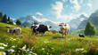 swiss cows are grazing in a flowery meadow, and pine trees at the swiss alps landscape