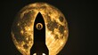 Silhouette of a rocket shaped like a bitcoin against the moon, high contrast, night scene
