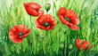 watercolor red poppies in green grass springtime floral meadow background