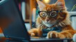 Ginger anthropomorphic cat wearing glasses and a cute bow tie, typing on a laptop and working as a professional business boss in a quirky home office setting
