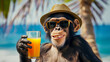 Funny monkey in a straw hat and sunglasses on the ocean shore with a cocktail