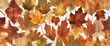 Illustration autumn background of maple leaves and leaves from different trees