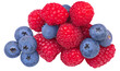 Wild Berries mix isolated on white background. Fresh raspberry and blueberry closeup. Package design elements.