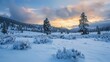 A serene meadow blanketed in a carpet of fresh snow, a pristine landscape awaiting the first footprints of dawn.