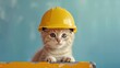 Labor Day concept A beige cat rocking a safety helmet