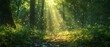 Mindful serenity, mystical forest lights, spiritual awakening