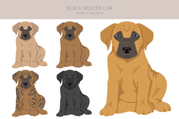 Black mouth cur puppy clipart. Different coat colors and poses set