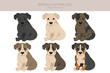 Brindisi fighting dog puppy clipart. Different coat colors and poses set