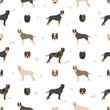 Brindisi fighting dog seamless pattern. Different coat colors and poses set.