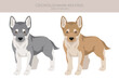 Czechoslovakian wolfdog puppy clipart. Different poses, coat colors set