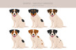 Danish swedish farmdog puppy clipart. Different poses, coat colors set