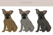 Dutch shepherd puppy clipart. Different poses, coat colors set