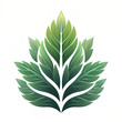 © StudioLuke - Verdant Emblem: Layered Leaf Design