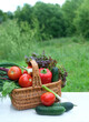 wicker basket with organic fresh different vegetables on wooden table in garden, natural background. concept of harvesting, assorted of raw vegetables for healthy vitamin food. template for design