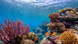 background of coral reef underwater with copy space ocean sea 