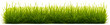 Green grass border on a transparent background. Green lawn field frame. 