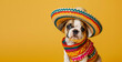 Cinco de Mayo celebration. Cute dog wearing a Mexican sombrero