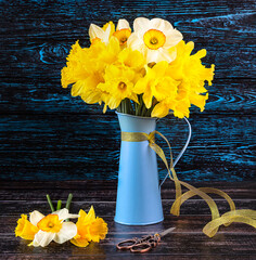 Bouquet of yellow daffodils flowers in blue vase, yellow ribbon, vintage scissors on dark wooden background. Spring still life with yellow flowers