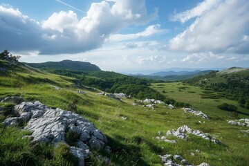 Sticker - a grassy hill with rocks and trees